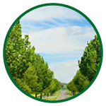 Buy Residential Plots in Thaiyur, plots in Thaiyur, villa plots for sale in Thaiyur, plots for sale in OMR