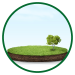 Buy Residential Plots in Thaiyur, plots in Thaiyur, villa plots for sale in Thaiyur, plots for sale in OMR