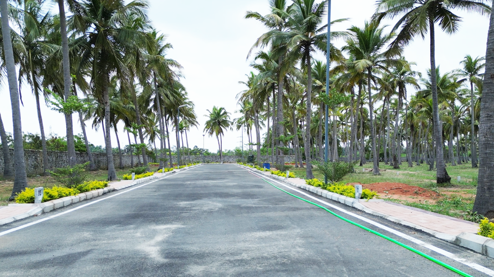 Buy Residential Plots in Thaiyur, plots in Thaiyur, villa plots for sale in Thaiyur, plots for sale in OMR
