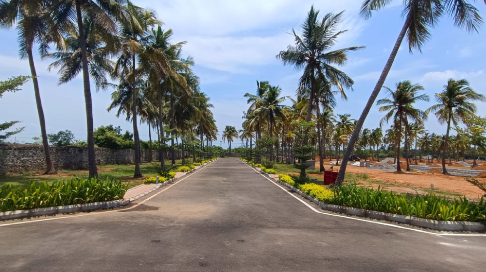 Buy Residential Plots in Thaiyur, plots in Thaiyur, villa plots for sale in Thaiyur, plots for sale in OMR